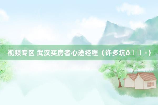 视频专区 武汉买房者心途经程(许多坑?)
