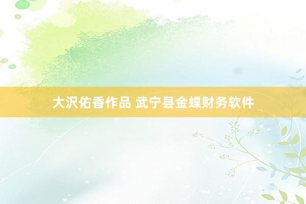 大沢佑香作品 武宁县金蝶财务软件