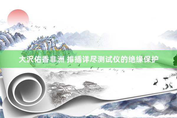 大沢佑香非洲 排插详尽测试仪的绝缘保护