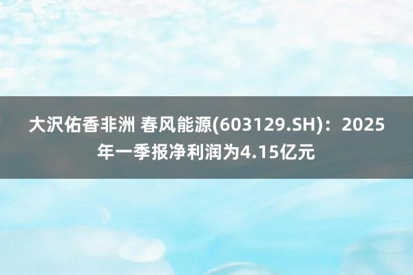 大沢佑香非洲 春风能源(603129.SH)：2025年一季报净利润为4.15亿元