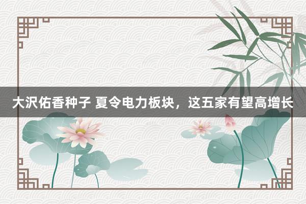 大沢佑香种子 夏令电力板块，这五家有望高增长
