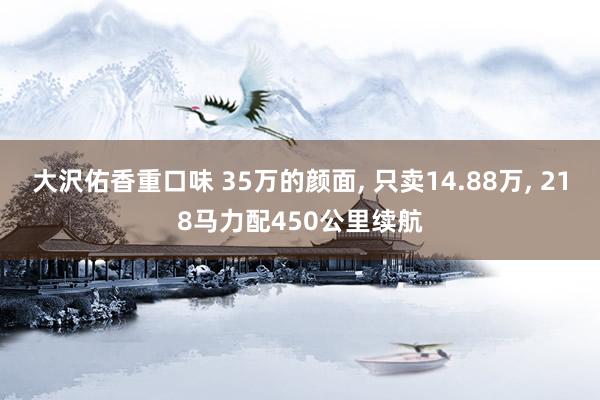 大沢佑香重口味 35万的颜面， 只卖14.88万， 218马力配450公里续航