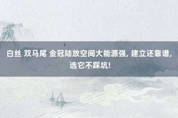 白丝 双马尾 金冠陆放空间大能源强， 建立还靠谱， 选它不踩坑!