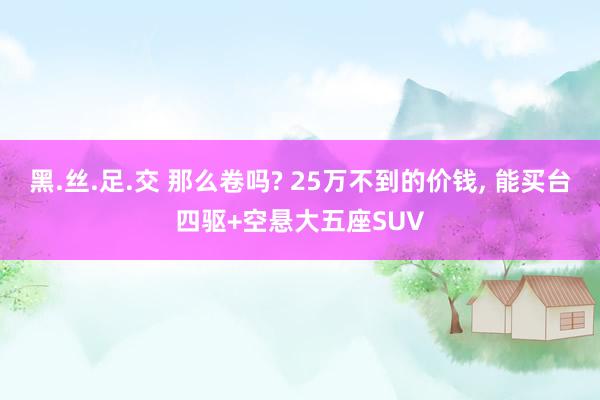 黑.丝.足.交 那么卷吗? 25万不到的价钱， 能买台四驱+空悬大五座SUV