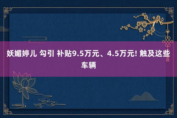 妖媚婷儿 勾引 补贴9.5万元、4.5万元! 触及这些车辆