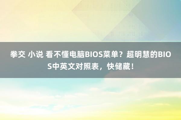 拳交 小说 看不懂电脑BIOS菜单？超明慧的BIOS中英文对照表，快储藏！