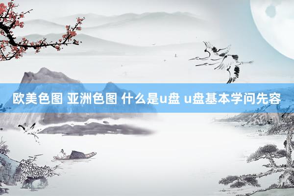 欧美色图 亚洲色图 什么是u盘 u盘基本学问先容