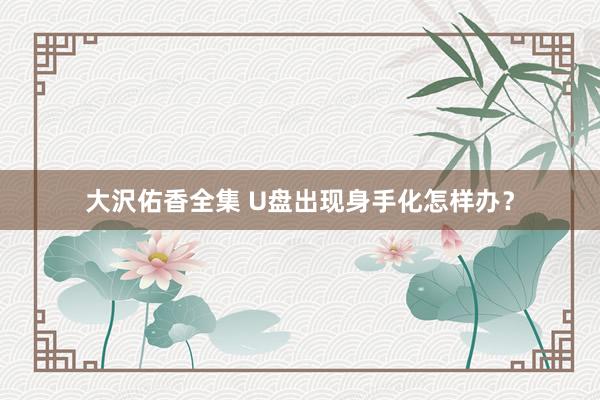大沢佑香全集 U盘出现身手化怎样办？
