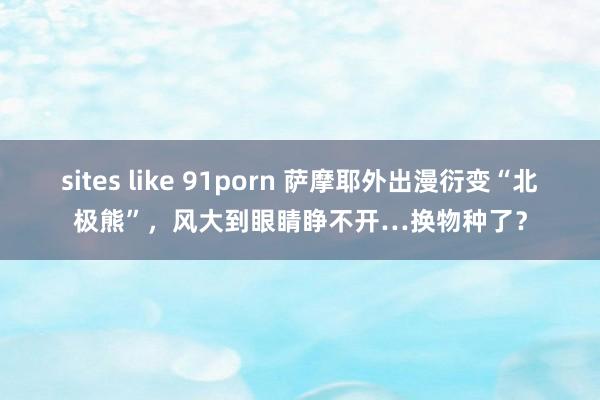 sites like 91porn 萨摩耶外出漫衍变“北极熊”，风大到眼睛睁不开…换物种了？
