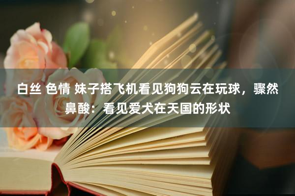 白丝 色情 妹子搭飞机看见狗狗云在玩球，骤然鼻酸：看见爱犬在天国的形状