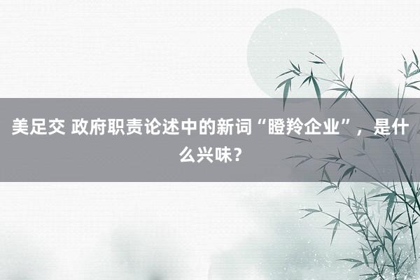 美足交 政府职责论述中的新词“瞪羚企业”，是什么兴味？